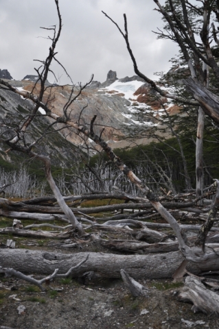 Scaled image tf0059.jpg 