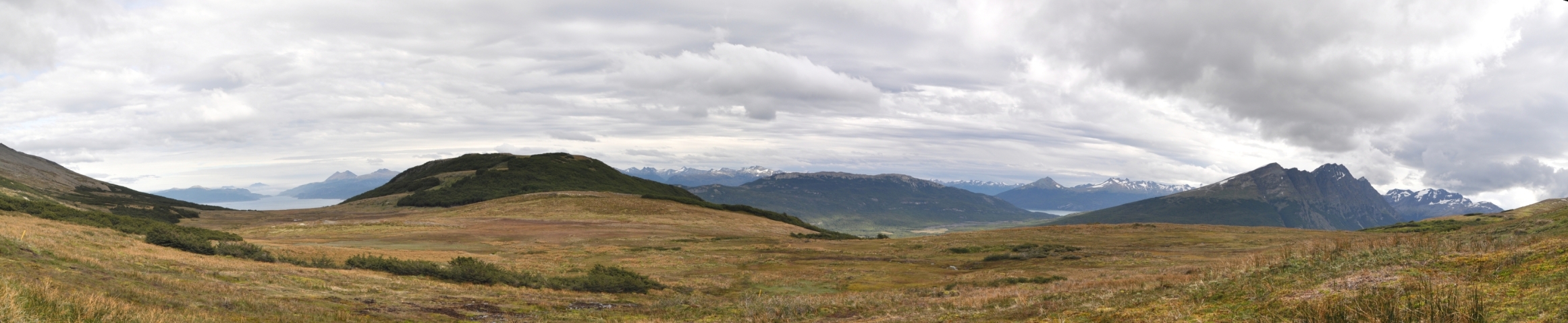 Scaled image tf0072.jpg 