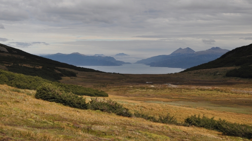 Scaled image tf0073.jpg 