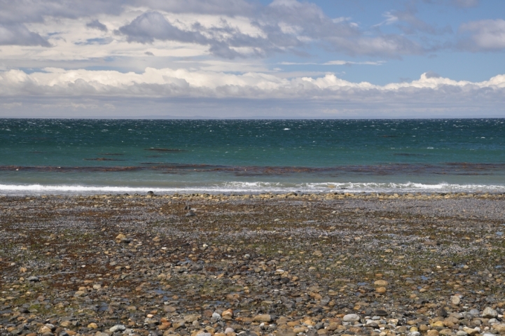 Scaled image tf0109.jpg 