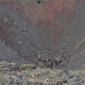 Thumbnail tf0013.jpg 
