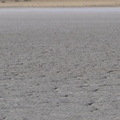 Thumbnail tf0020.jpg 