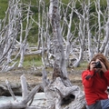 Thumbnail tf0062.jpg 