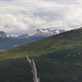 Thumbnail tf0070.jpg 