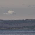 Thumbnail tf0099.jpg 