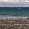 Thumbnail tf0109.jpg 