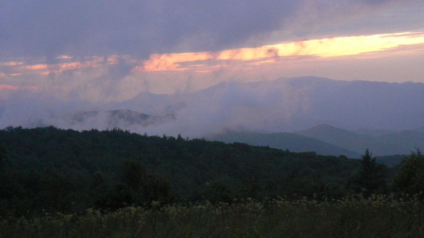tenn16