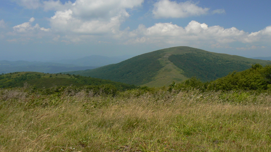 tenn31