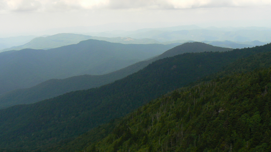 tenn41_5