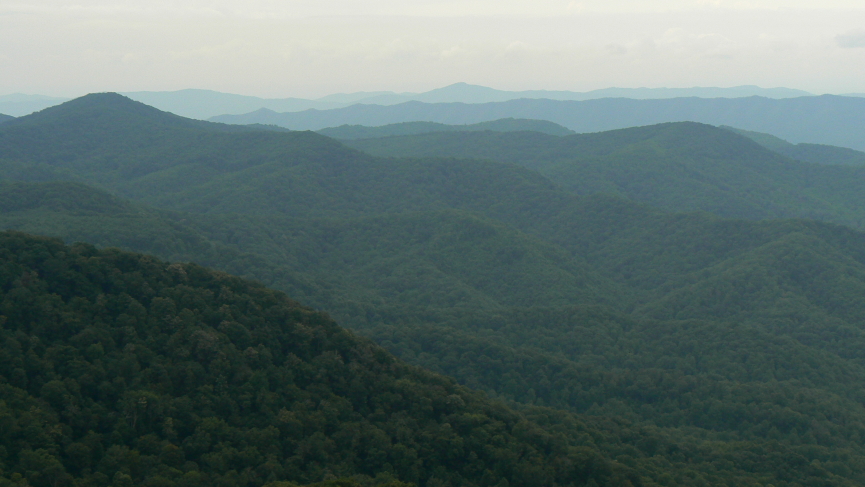 tenn46_5