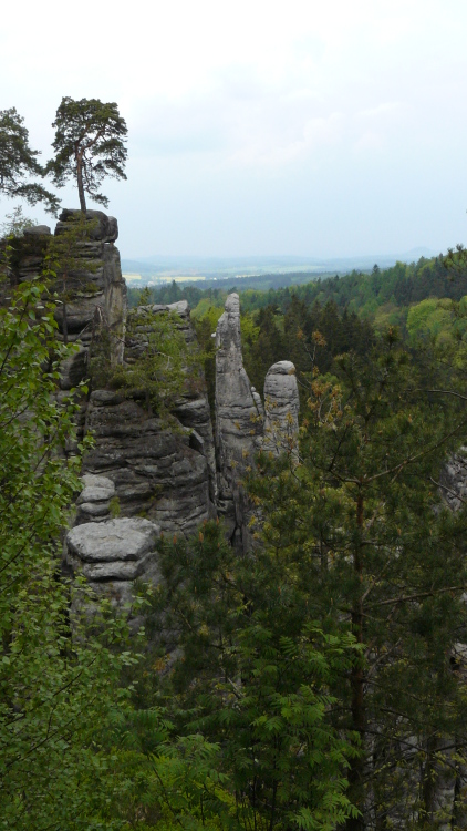 p1040005.jpg 