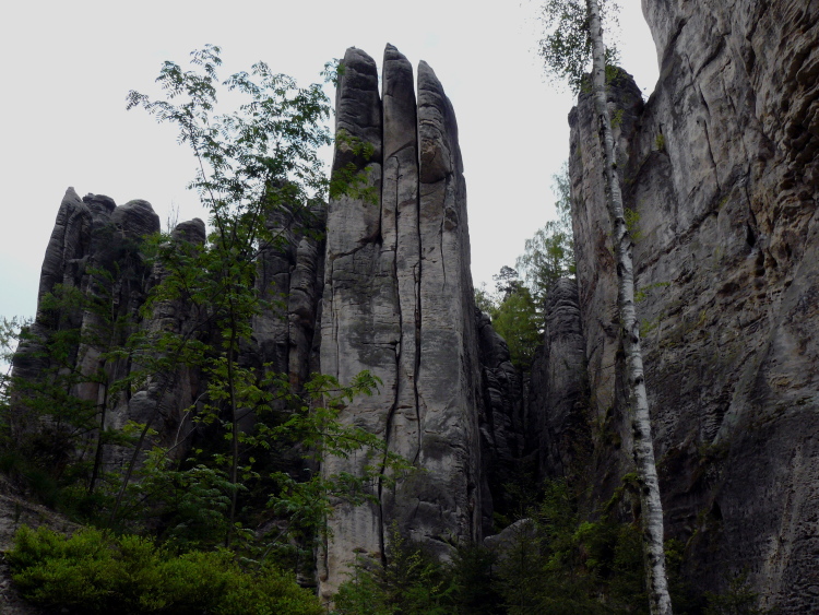 p1040036.jpg 