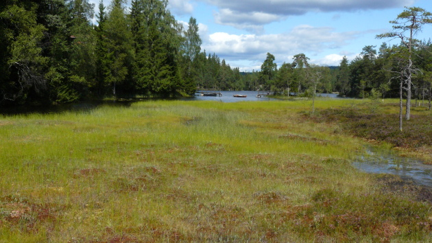 p1010139.jpg 