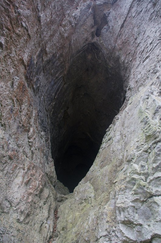 IMGP2756