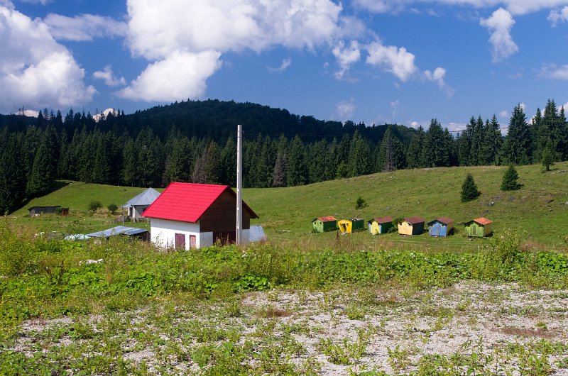 IMGP8547