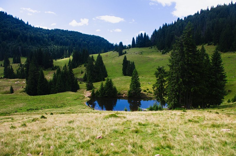 IMGP8597