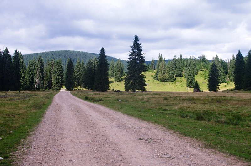 IMGP8651