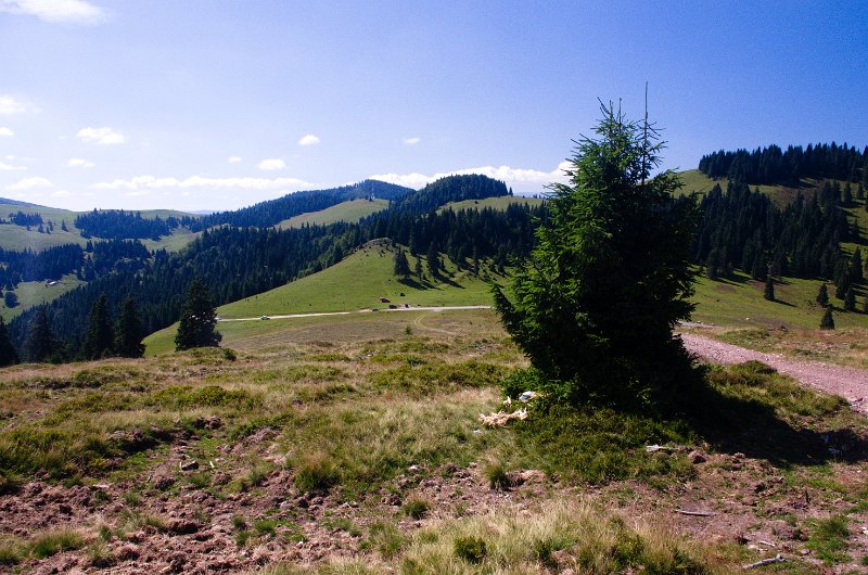 IMGP8726