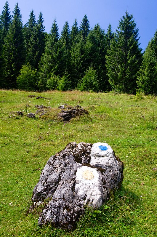 IMGP8797