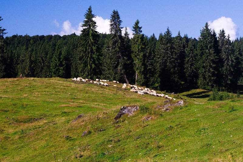 IMGP8952