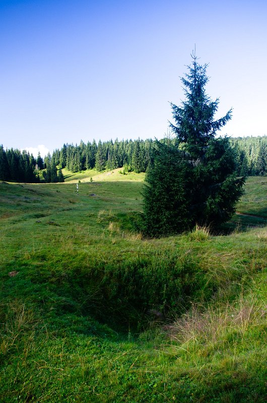 IMGP8961