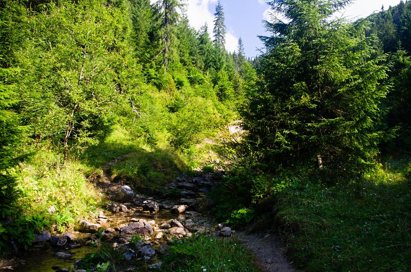 IMGP8980