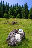 IMGP8797