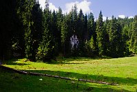 IMGP9049