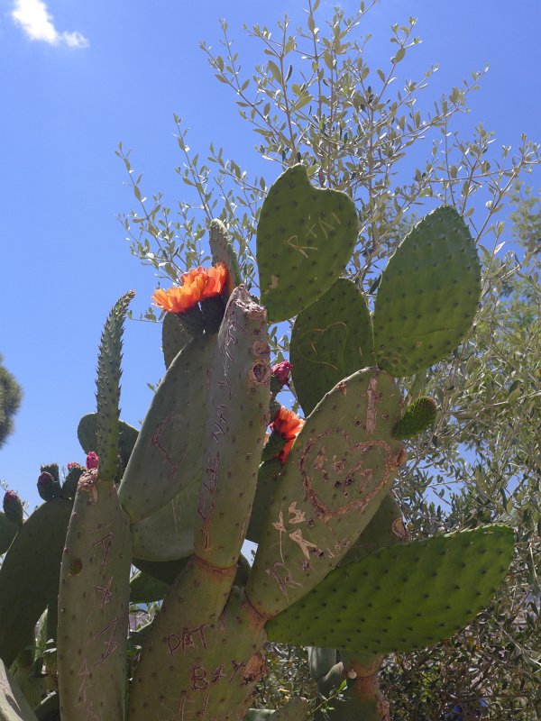 P1010280