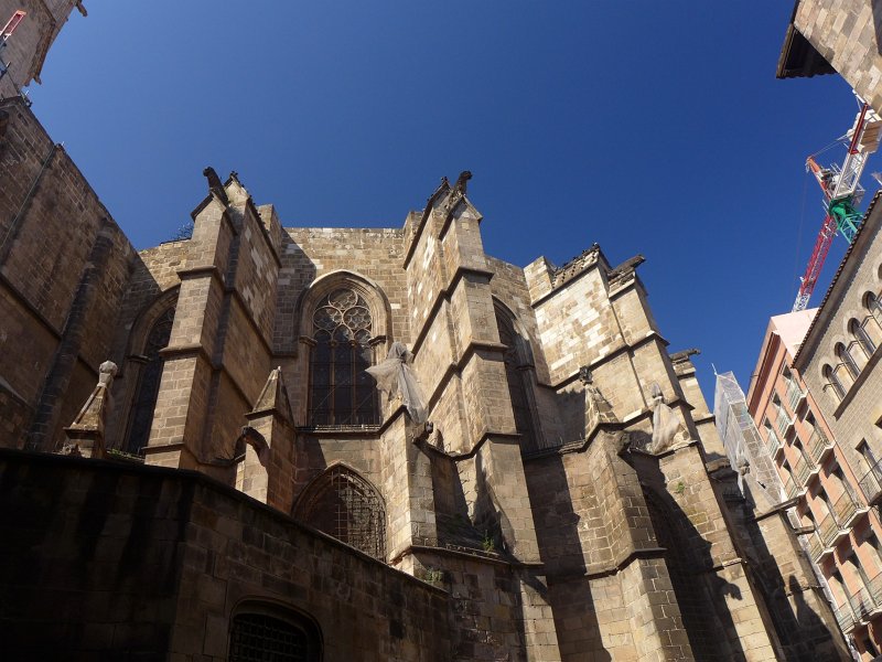P1010721