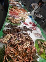 P1010119
