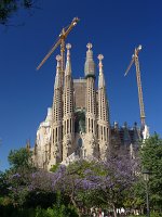 P1020116_P1010388
