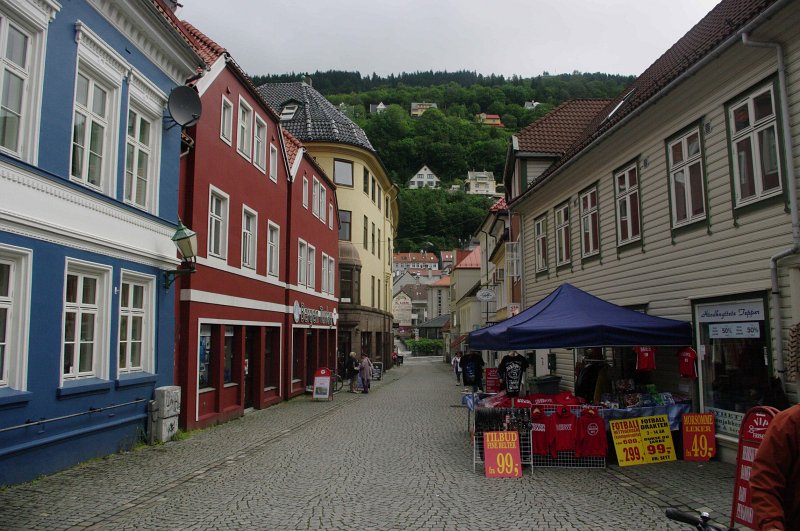 IMGP8254