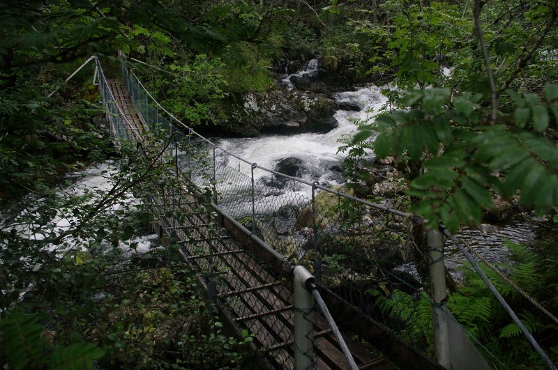 IMGP8377