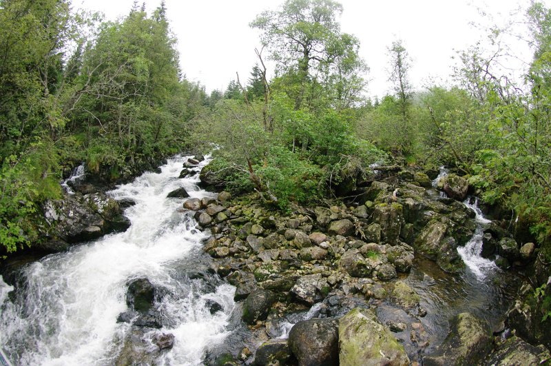 IMGP8382