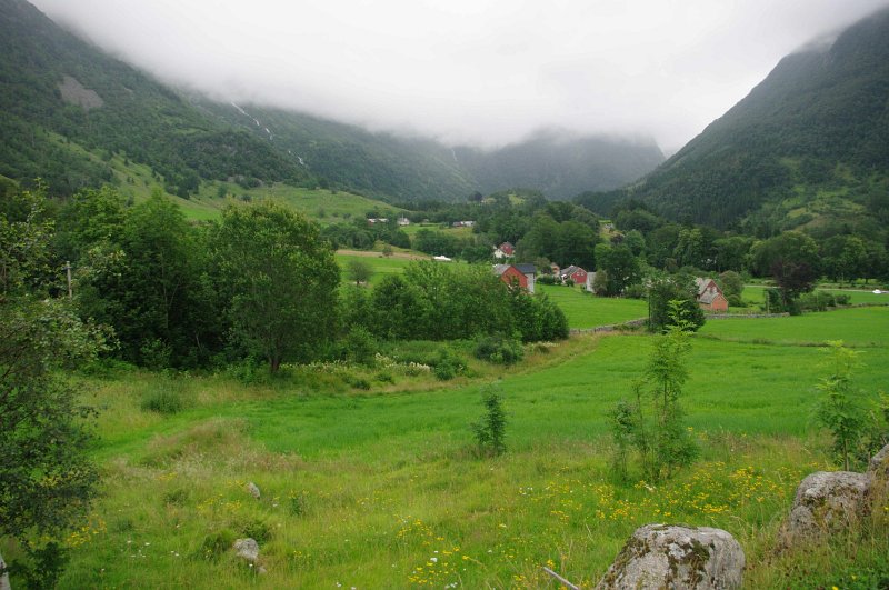 IMGP8455