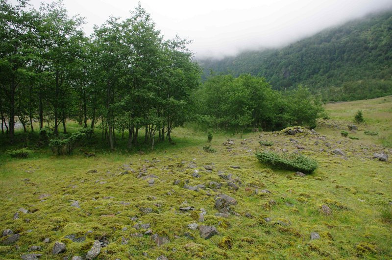 IMGP8466