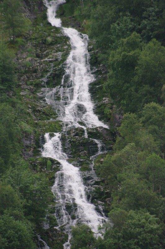 IMGP8471