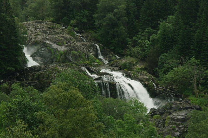 IMGP8489