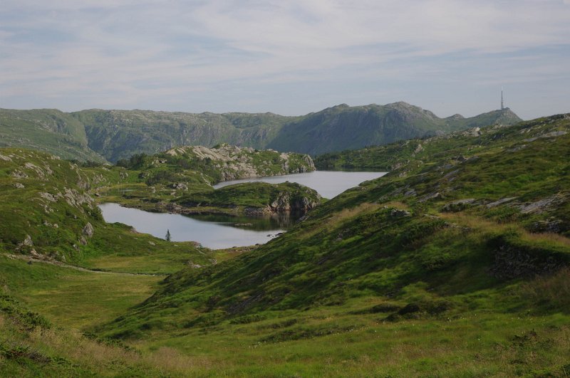 IMGP8816