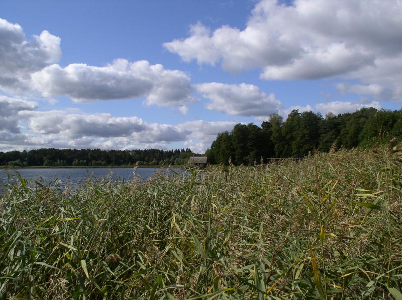 P9300084