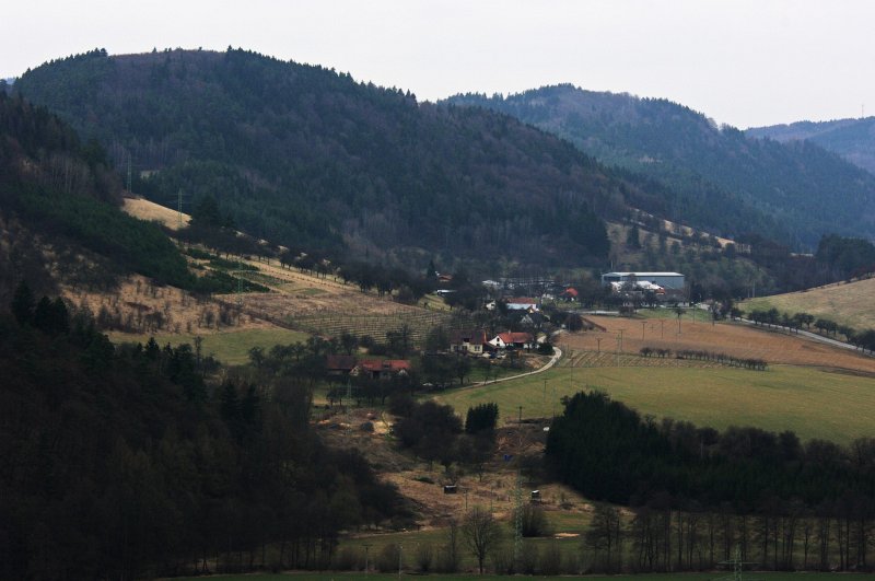IMGP7808