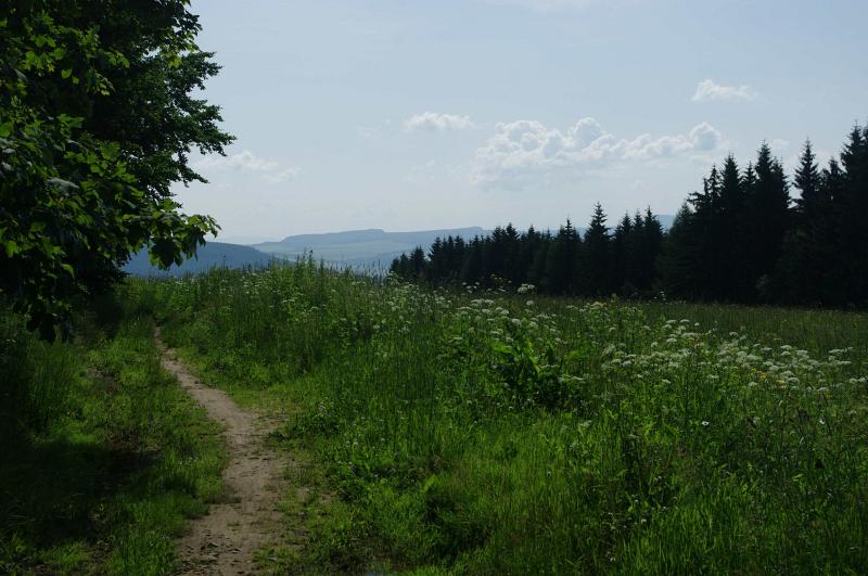 IMGP2765