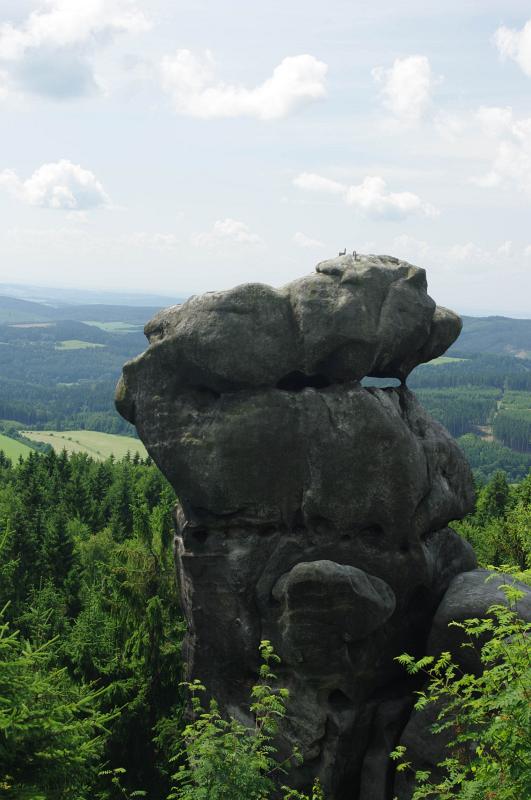 IMGP2776