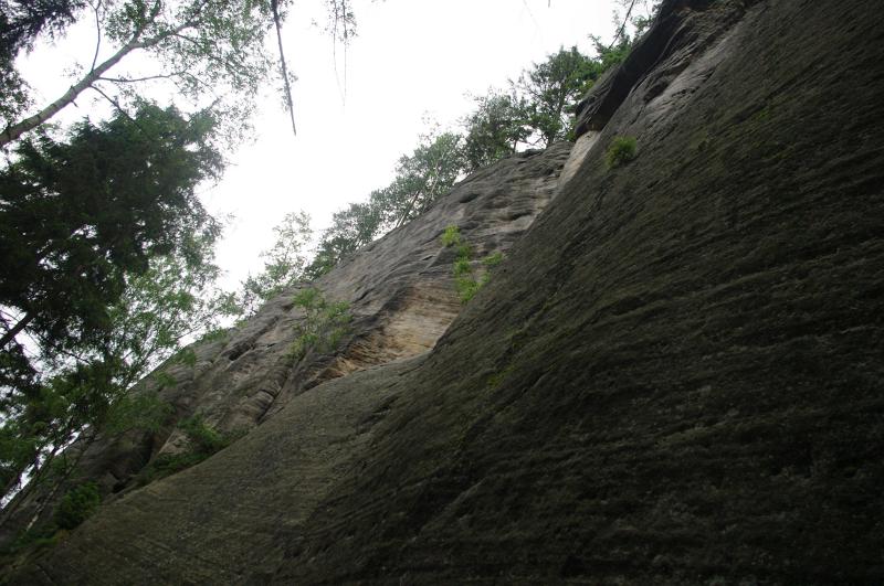 IMGP2778
