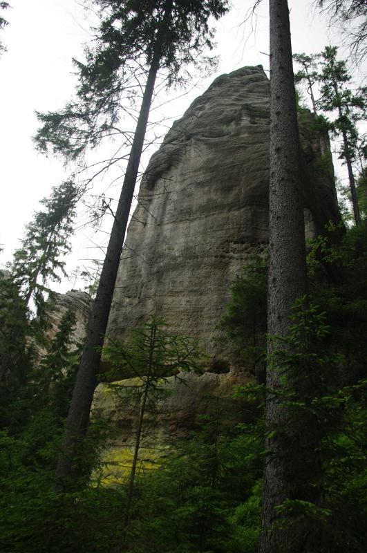 IMGP2779