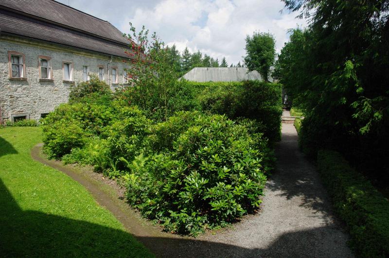 IMGP2897