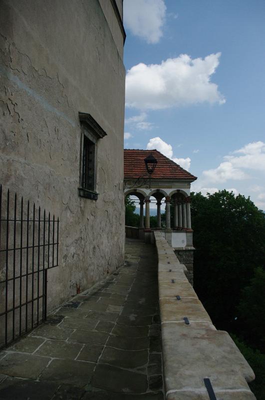 IMGP2902