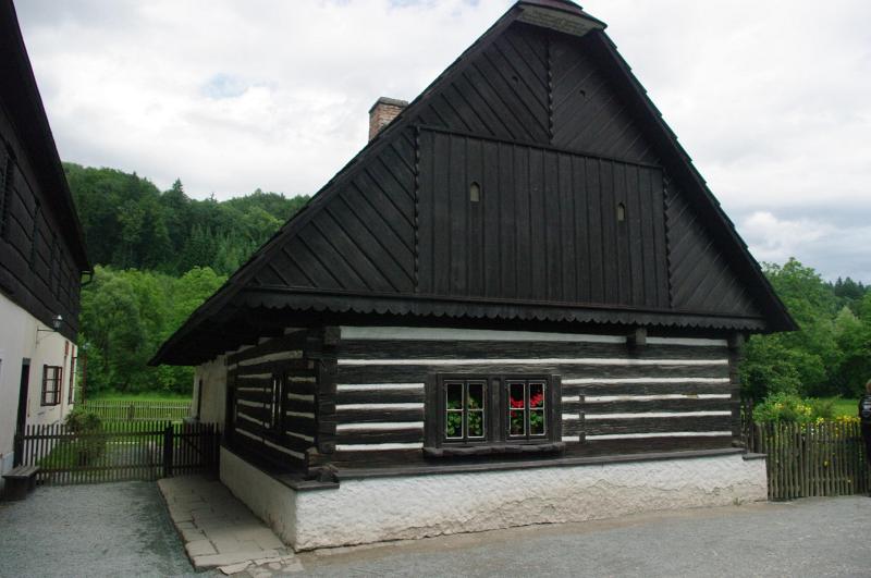 IMGP2963
