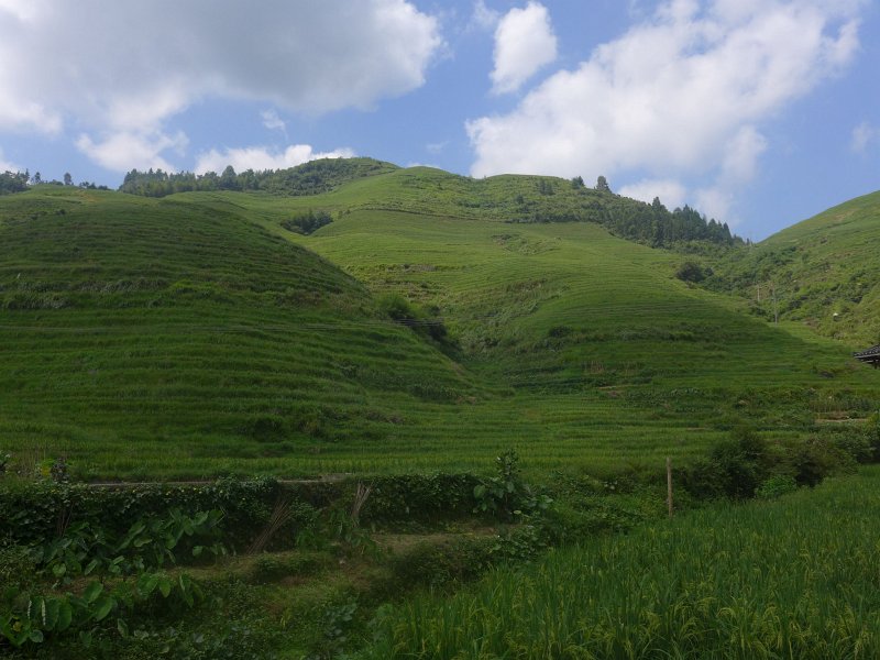 P1030376